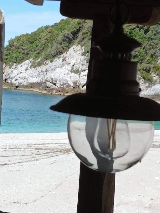 κυμοθόη *